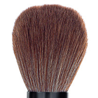 Powder Brush IP 879