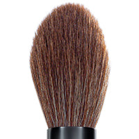 Powder Brush IP 855