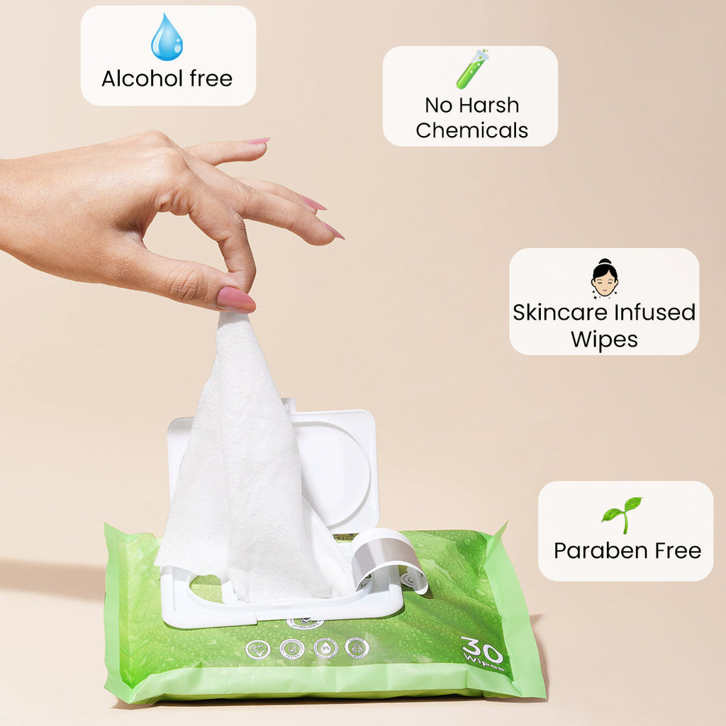 WET WIPES (30 WIPES)