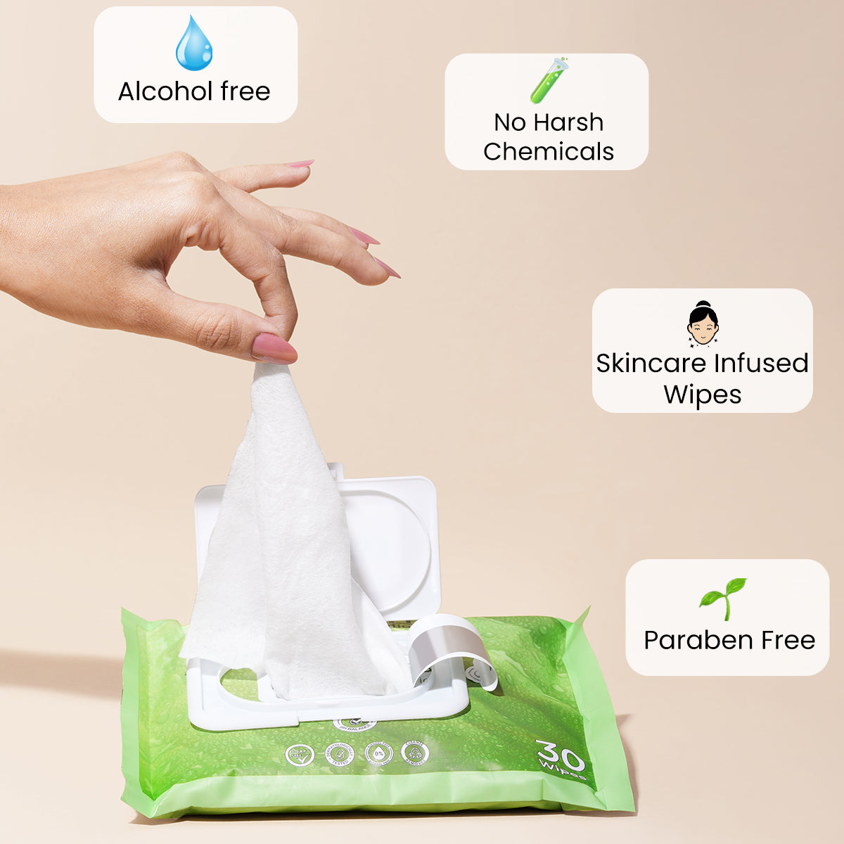 WET WIPES (30 WIPES)