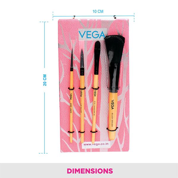 Set of 4 Brushes - EVS-04