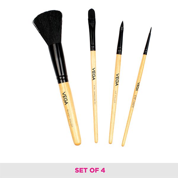 Set of 4 Brushes - EVS-04