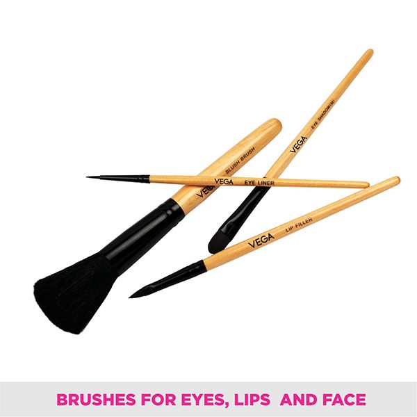 Set of 4 Brushes - EVS-04