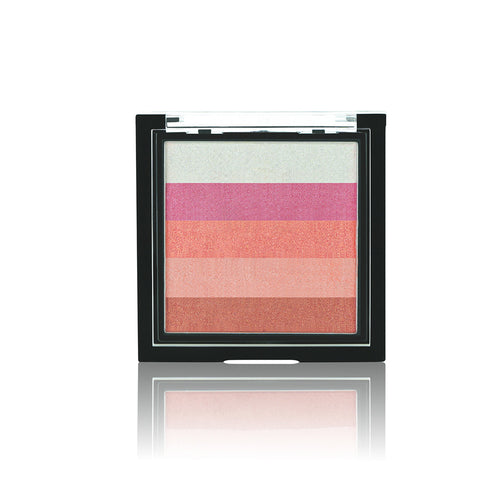 5 Shades Of Shine Brick Blusher