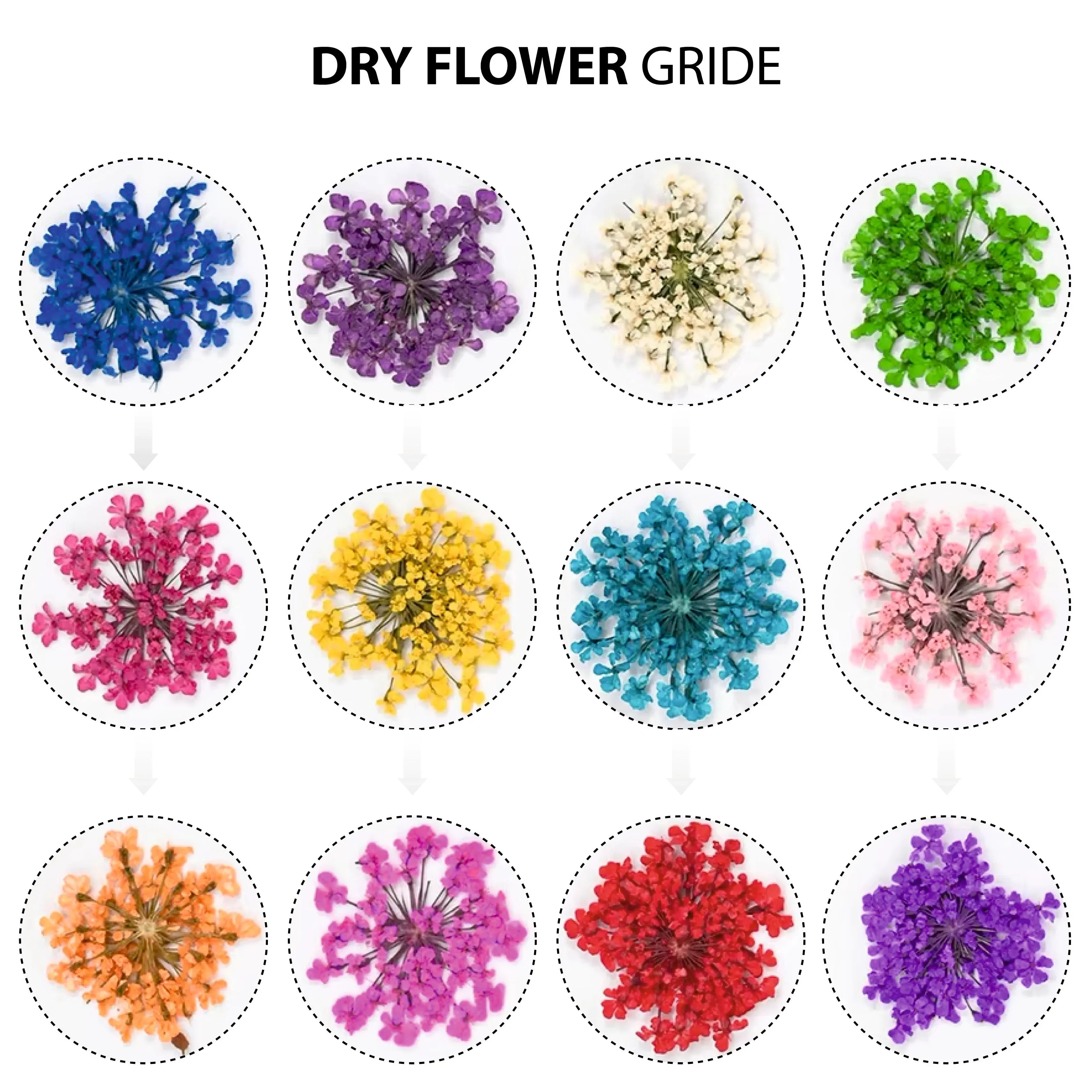 Dry Flower