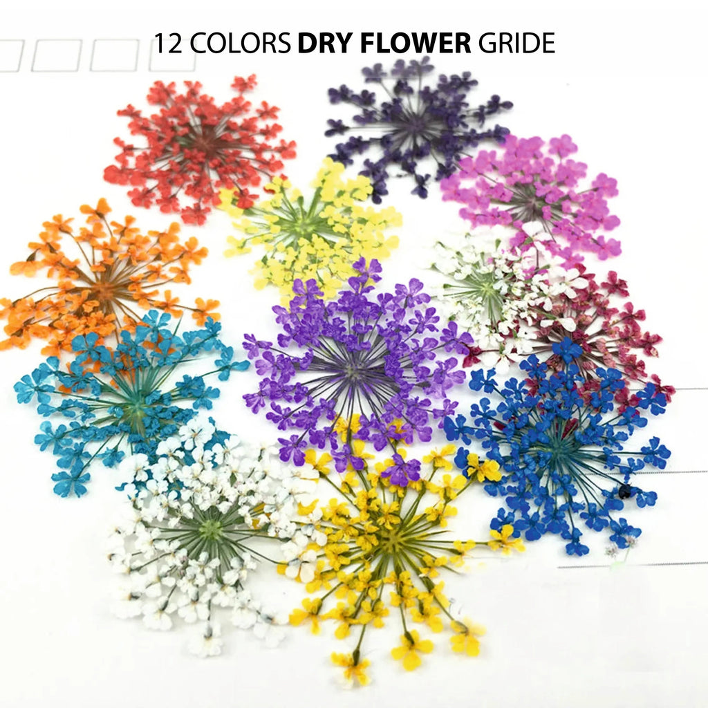 Dry Flower