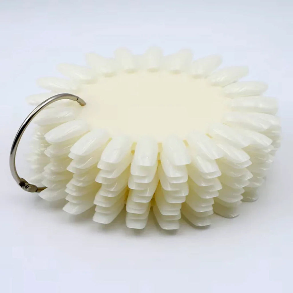 Nail Art Practice Wheel Natural 10PCS