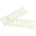 NAIL STAND Shade Card