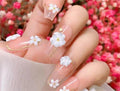 3D Flower