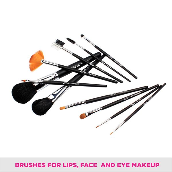 Set of 12 Brushes - LK-12