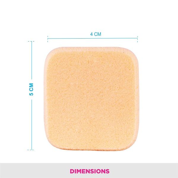 Foundation Sponge (Rectangle) - NBRS