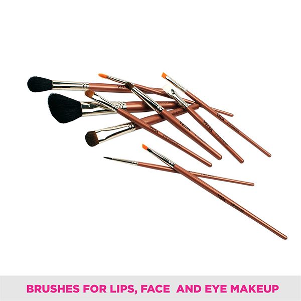 Set of 10 Brushes - LK-10