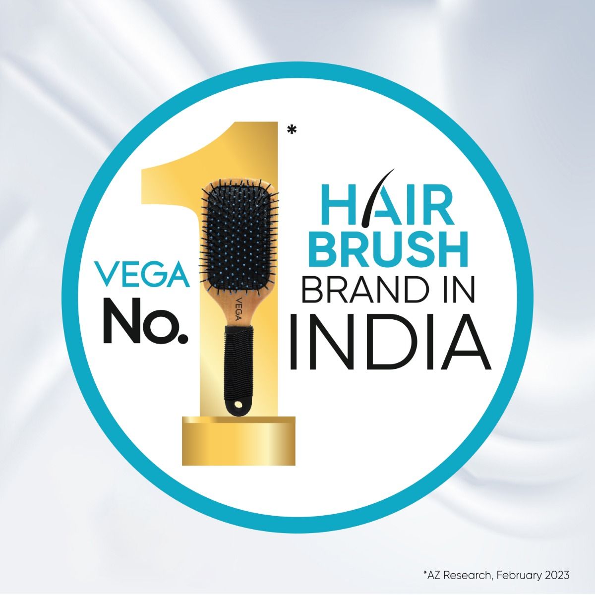 Vega Detangling Brush - DTB-04 
