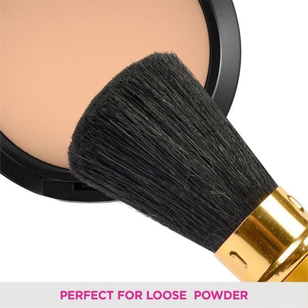 Powder Brush - EV-20(RT)