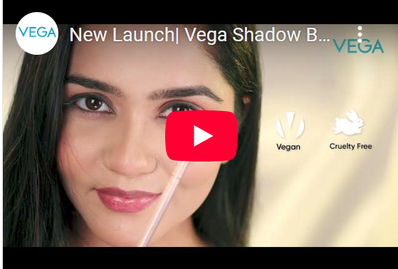 VEGA EYE SHADOW BRUSH(M) - MBN-02